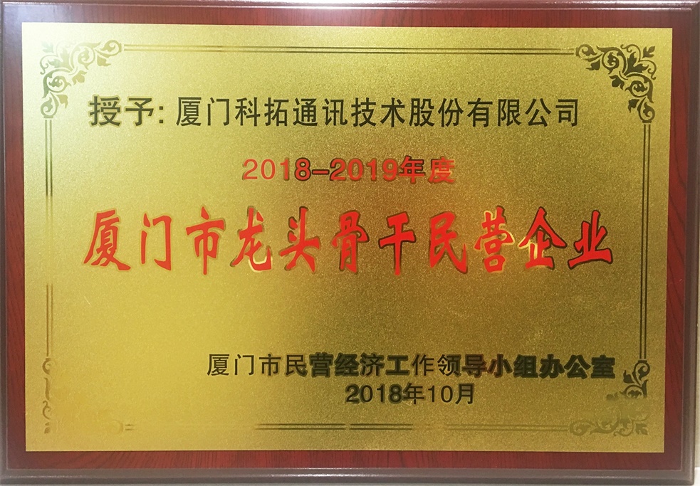 2018-2019年度 廈門市龍頭骨干民營(yíng)企業(yè)