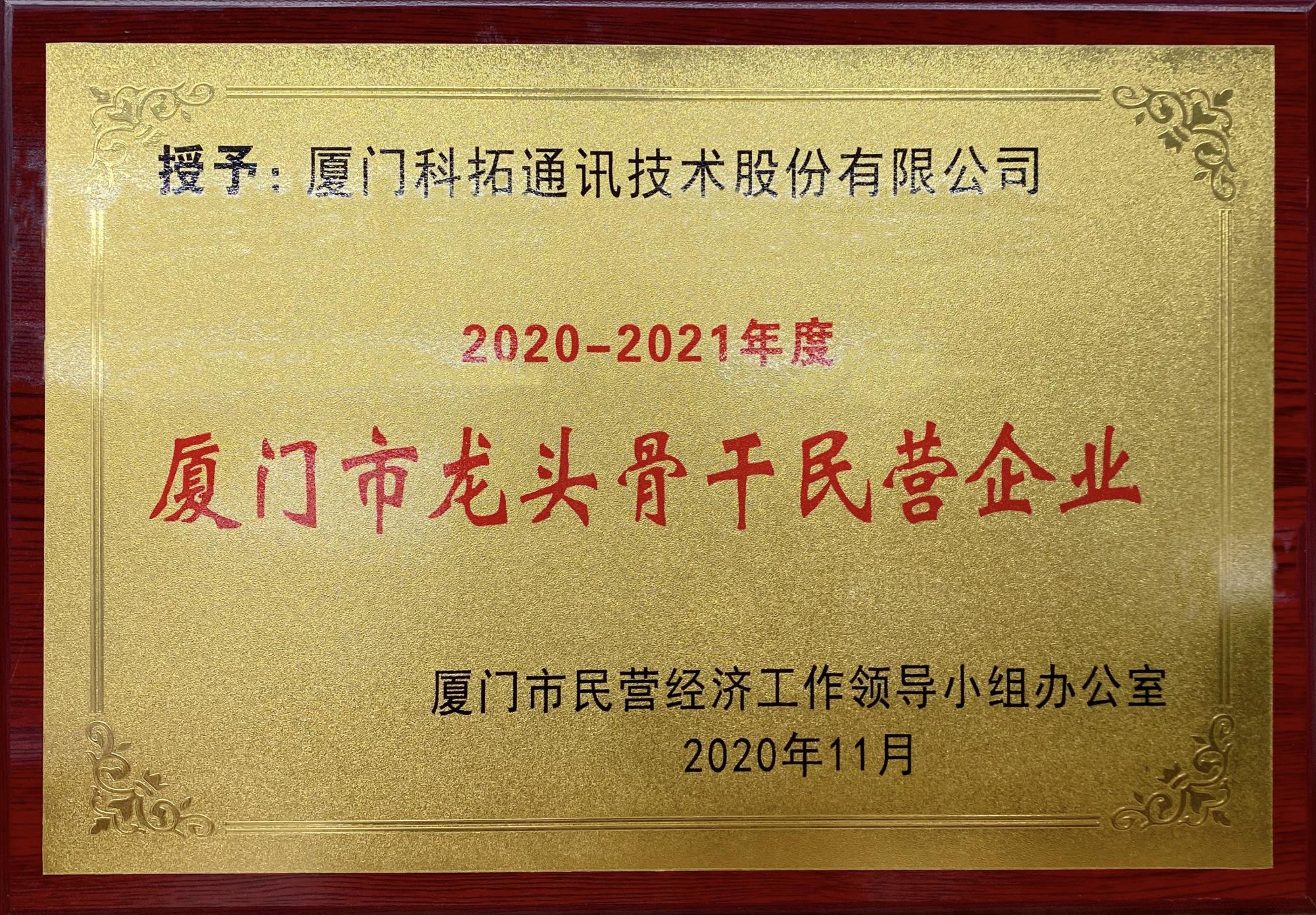 2020-2021年度廈門市龍頭骨干民營企業(yè)